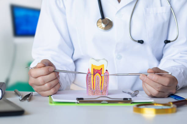 Best Urgent Tooth Repair  in Lewistown, MT